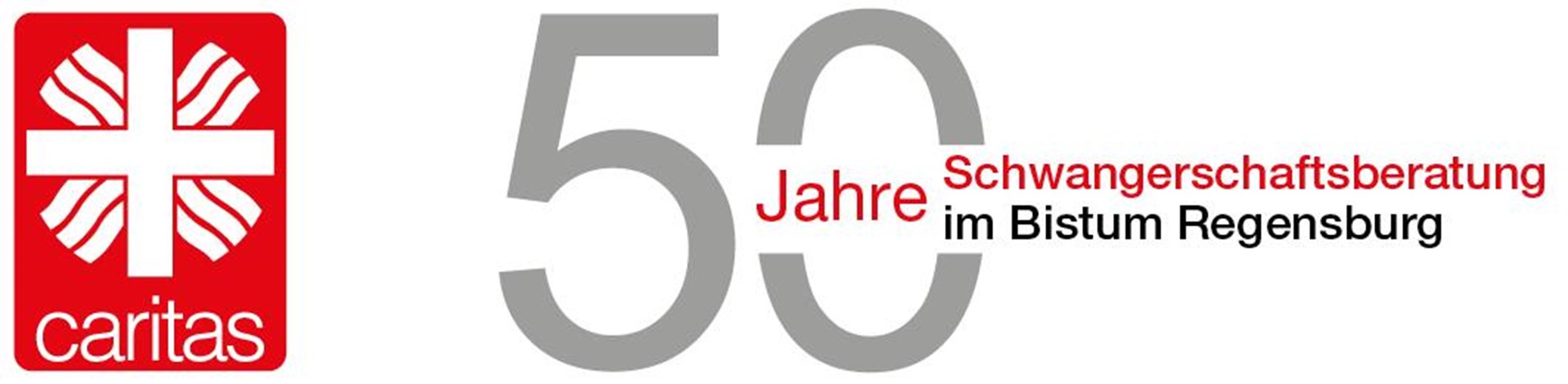 50 Jahre KSB Logo